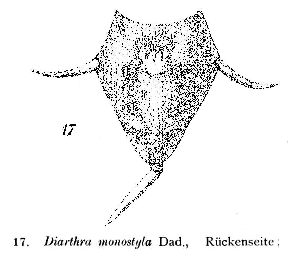 Daday, E (1905): Zoologica 18 